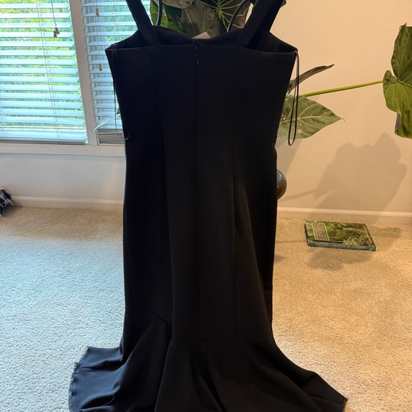 Elegant NWT Zara Dress - Picture 6 of 6